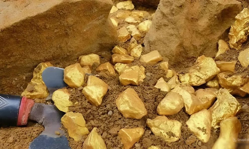 Phát hiện 150 tấn vàng trị giá hơn 120.000 tỷ đồng, cảnh sát lập tức phong tỏa khu vườn của một nông dân
