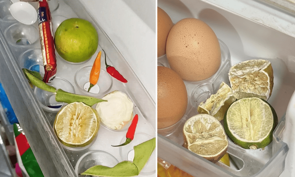 Trung bình cửa tủ lạnh của các gia đình Việt Nam đều có 1 thứ: Hóa ra có tác dụng bất ngờ