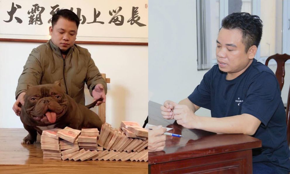 Chú chó có giá 2,6 tỷ đồng