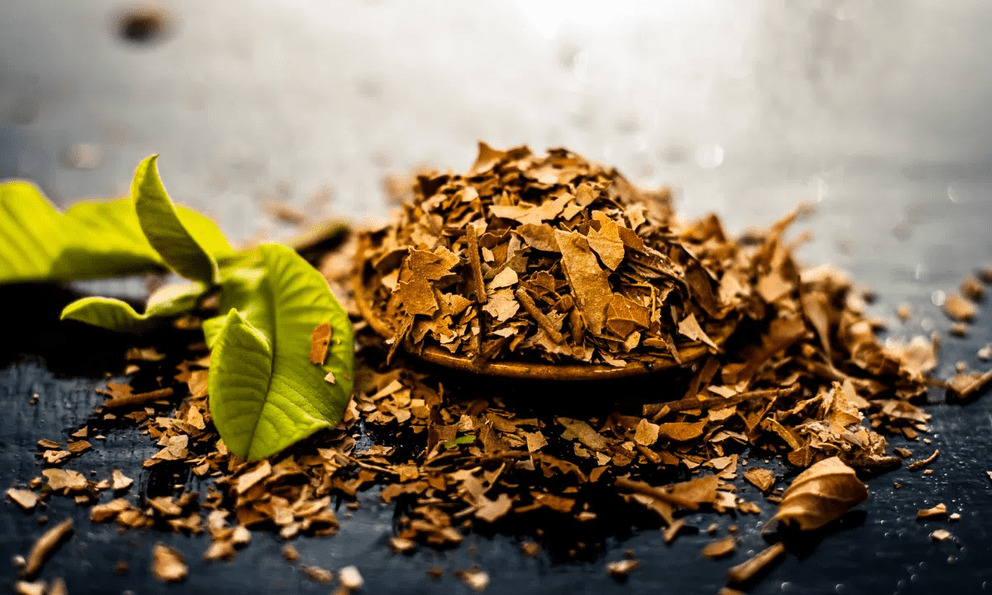 Chỉ 3 bước biến loại lá 