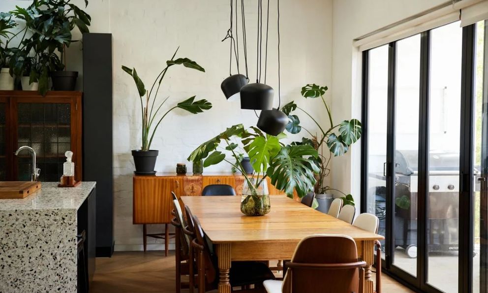 6 vị trí trong nhà tuyệt đối không được đặt cây: Số 3 khiến nhiều người 