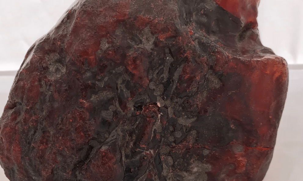 Nhặt hòn đá dưới suối về chặn cửa suốt mấy thập kỷ, chuyên gia vừa xem đã nói là kho báu gần 29 tỷ đồng