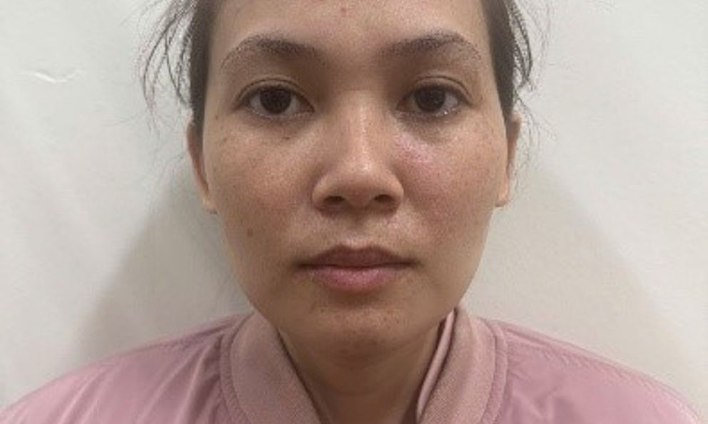 Bắt giữ, xử lý Đinh Mộng Duy 