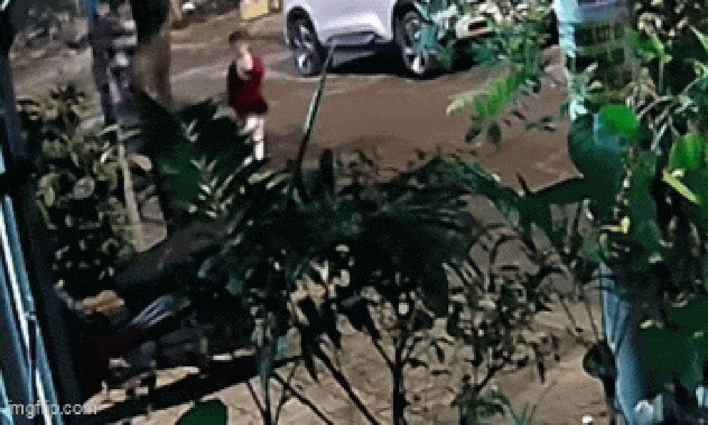 Bé 4 tuổi bị người lạ tát giữa đường, gia đình thừa nhận một lỗi sai nguy hiểm: Tất cả phải chú ý!