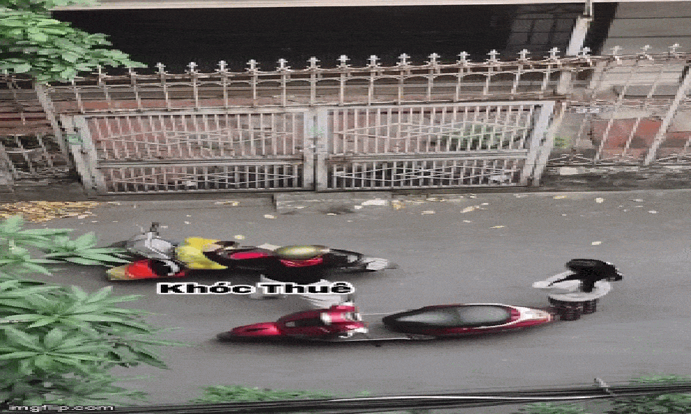 Nhặt được đồ rơi, người phụ nữ không trả, bắt nữ sinh trường Báo quỳ xin lỗi: Công an vào cuộc