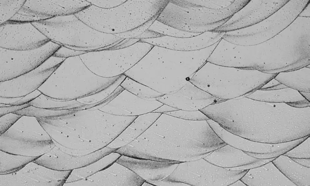 Phát minh phá vỡ truyền thống về 