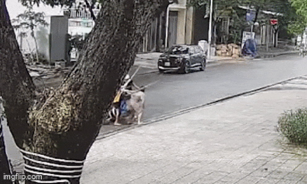 Danh tính người đàn ông chặn đường, đánh 3 đứa trẻ: Camera nhà dân ghi diễn biến gây bức xúc