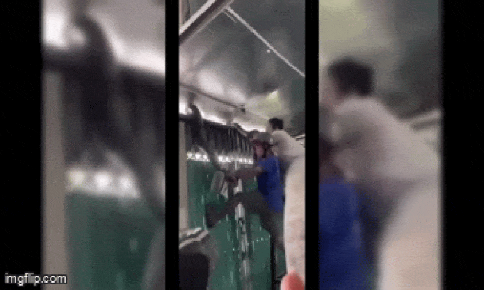 Vây bắt con trăn 