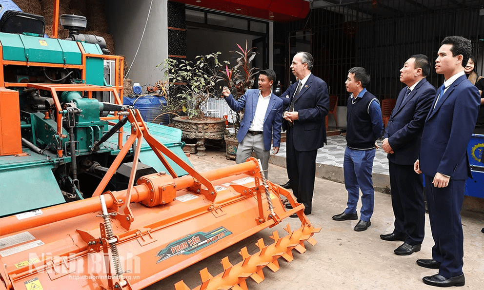 Giống lúa Việt gây 