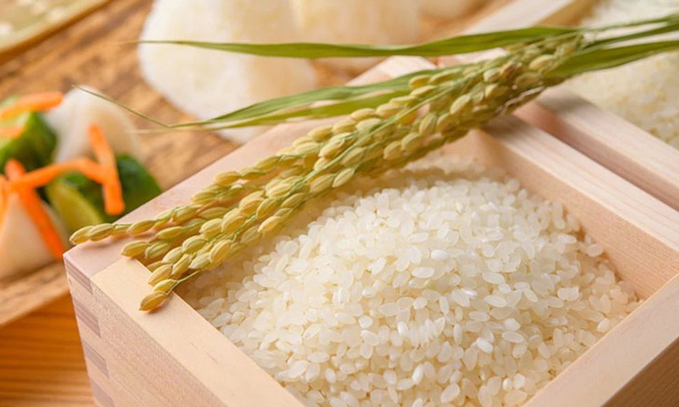  Loại gạo Việt Nam vừa xuất khẩu sang thị trường 