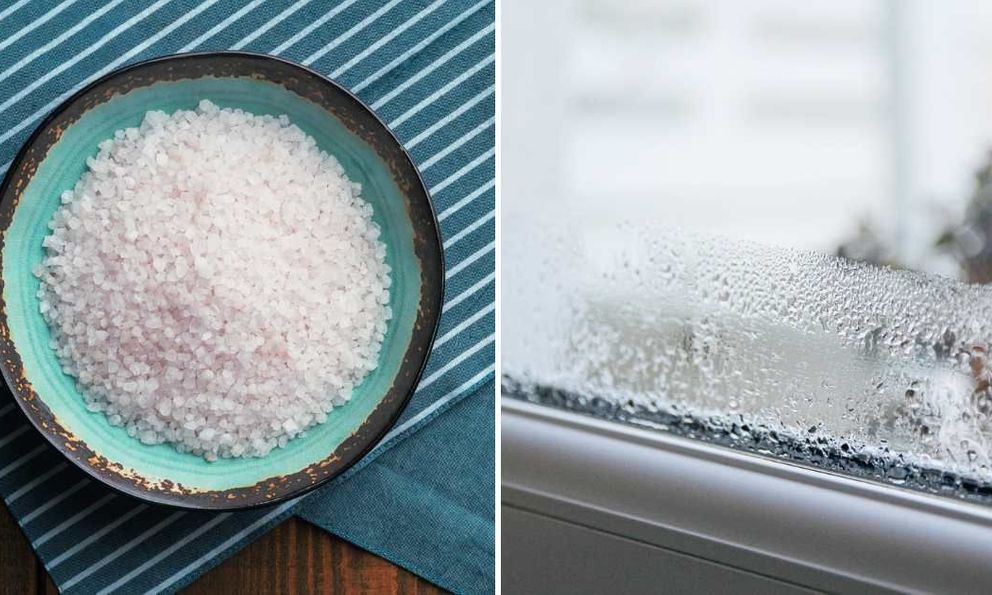 Đặt đĩa muối cạnh cửa sổ mùa đông có tác dụng gì?