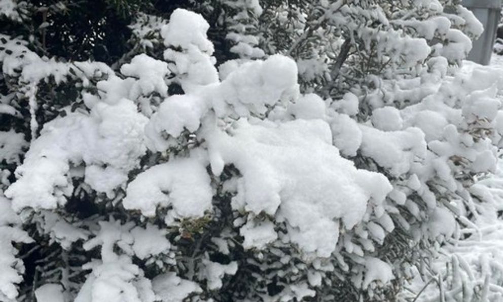 Nơi vừa có tuyết rơi hiếm có sau gần 20 năm!