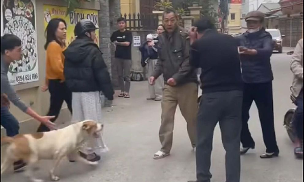 Vụ thả chó cắn người nhập viện ở Hà Nội: Nạn nhân kể chi tiết