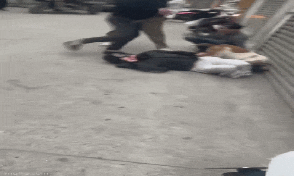 Xôn xao clip thả chó cắn vào mặt, chân người phụ nữ đi đường ở Hà Nội