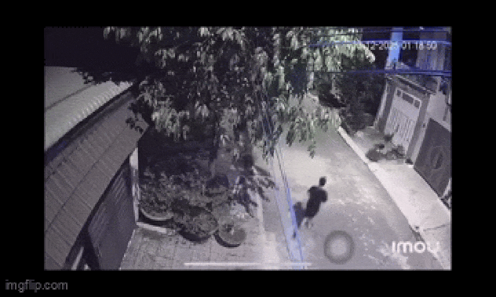 Bố khóc nấc, chạy sang nhà hàng xóm đập cửa cầu cứu lúc đêm khuya: Nhói lòng câu chuyện phía sau