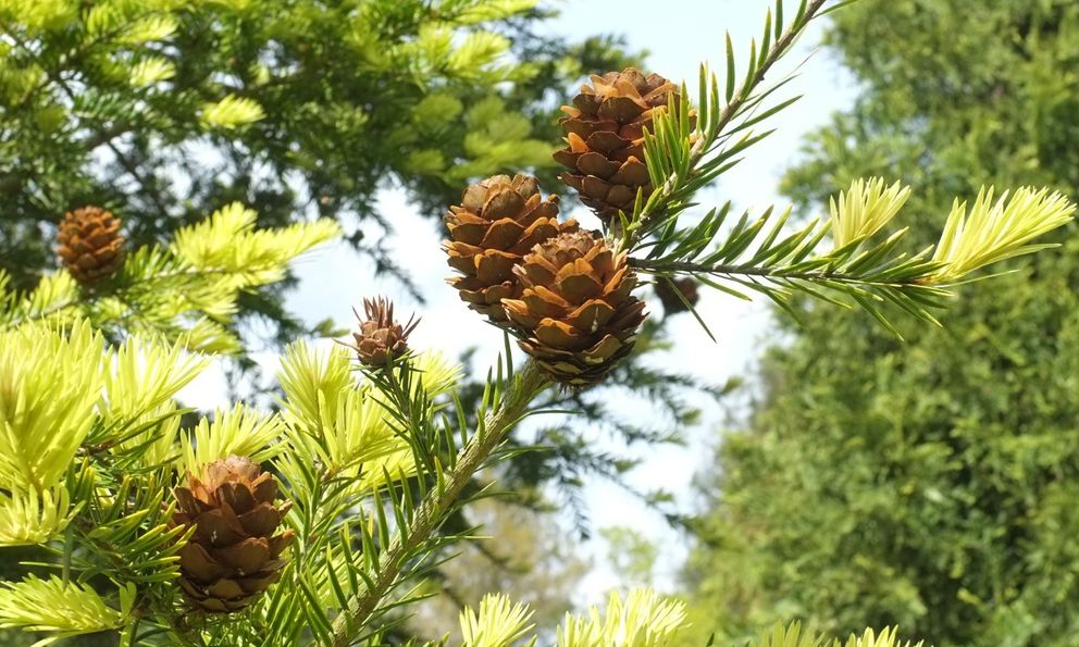 Giữa núi đá Kim Hỷ, một 