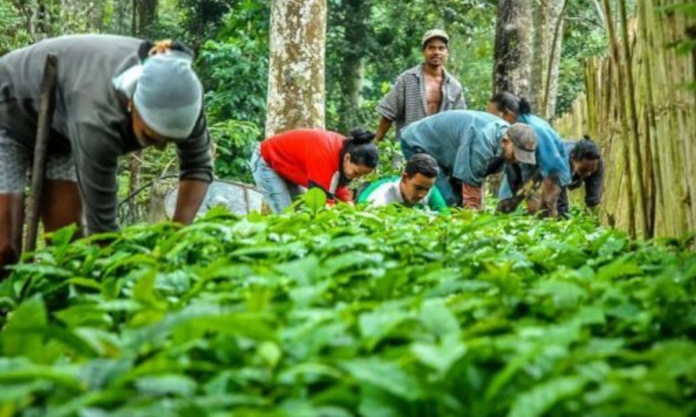 Nông nghiệp Cuba bùng nổ, sở hữu 4.000ha được làm giàu từ 