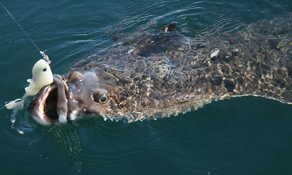 Cậu bé 13 tuổi oằn mình kéo 