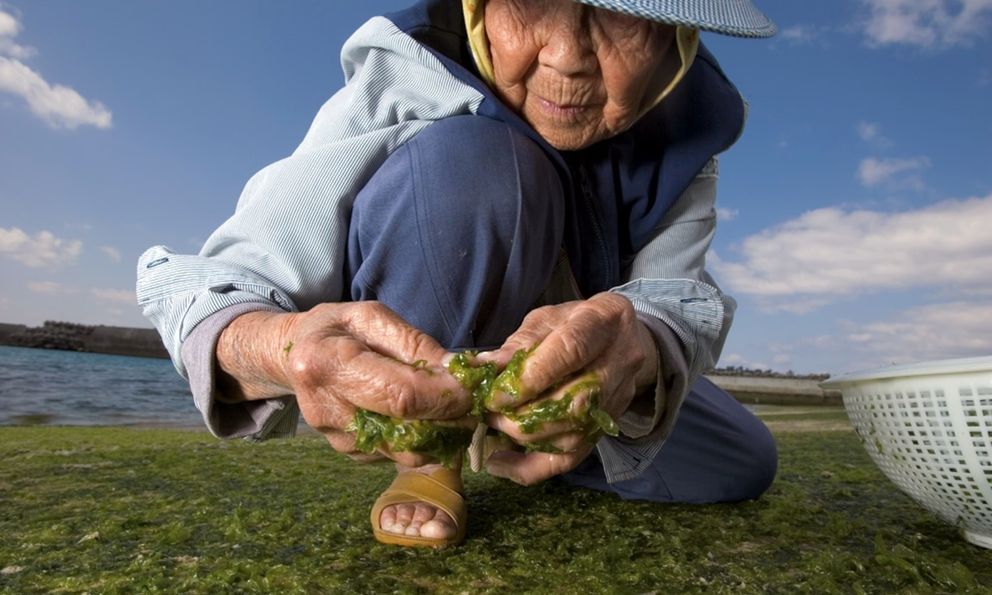 Muốn sống tới 100 tuổi? Hãy học những người sống thọ nhất thế giới ăn 8 loại thực phẩm này