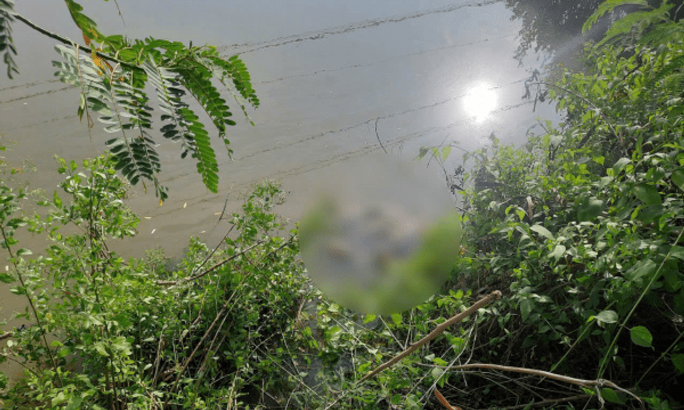 Nóng: Lời khai của nghi phạm 16 tuổi sát hại nữ sinh lớp 7, ném xuống đầm tôm 