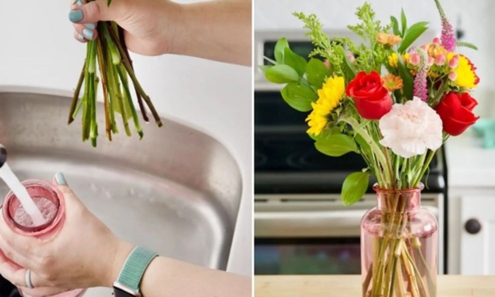 Cắm hoa tươi mãi không tàn, hóa ra chỉ cần pha nước đúng cách: Mỗi loại hoa lại khác nhau
