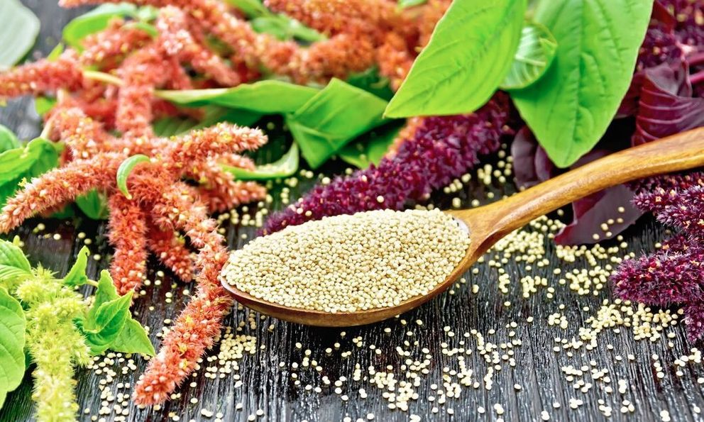 Tiết lộ bất ngờ về loại carb 