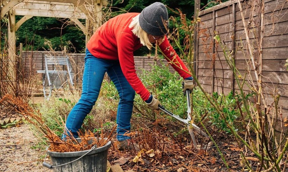 5 điều cần làm ngay với sân vườn trước khi năm mới đến