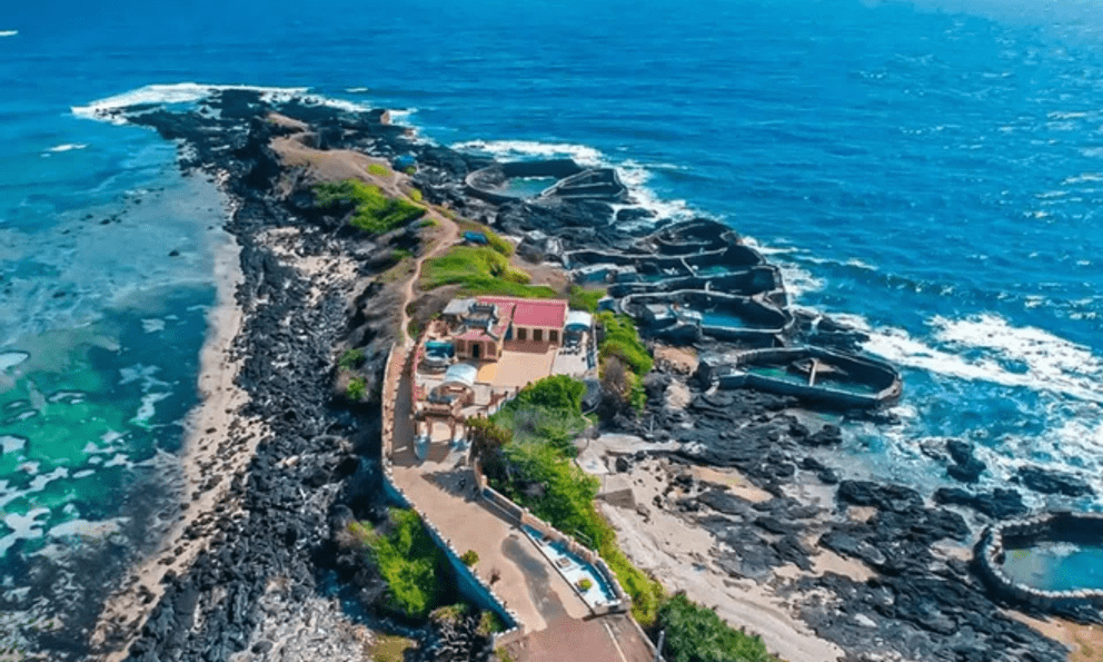 Một đảo miền Trung Việt Nam được vinh danh ngay đầu năm 2026, báo Thái nhận xét: 