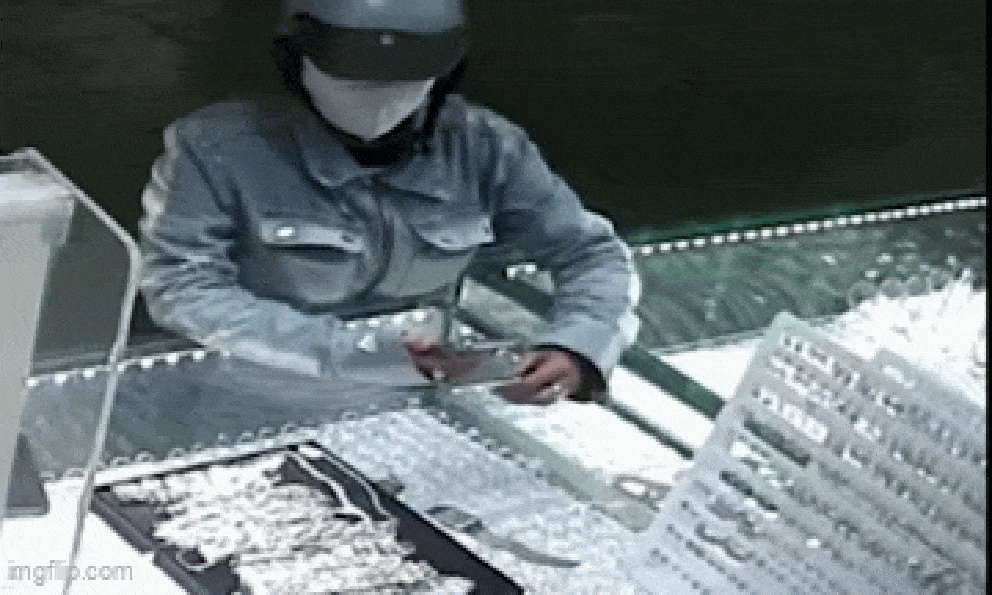 Người phụ nữ trộm vàng trắng trị giá 160 triệu bị bắt sau 7 giờ truy xét: Quá khứ bất hảo 