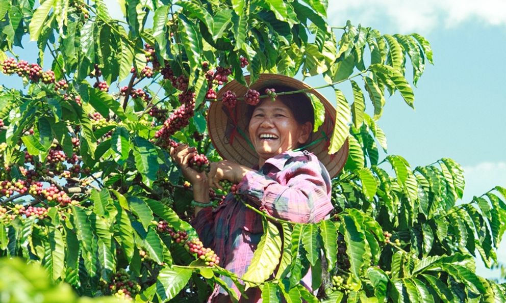 Việt Nam - quốc gia sở hữu 