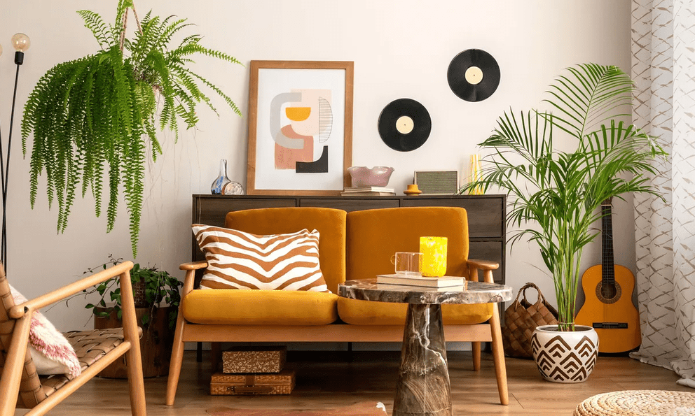 Loại cây được dự đoán ‘hot nhất năm 2026’: ‘Hút’ bụi mịn, lọc không khí cực đỉnh