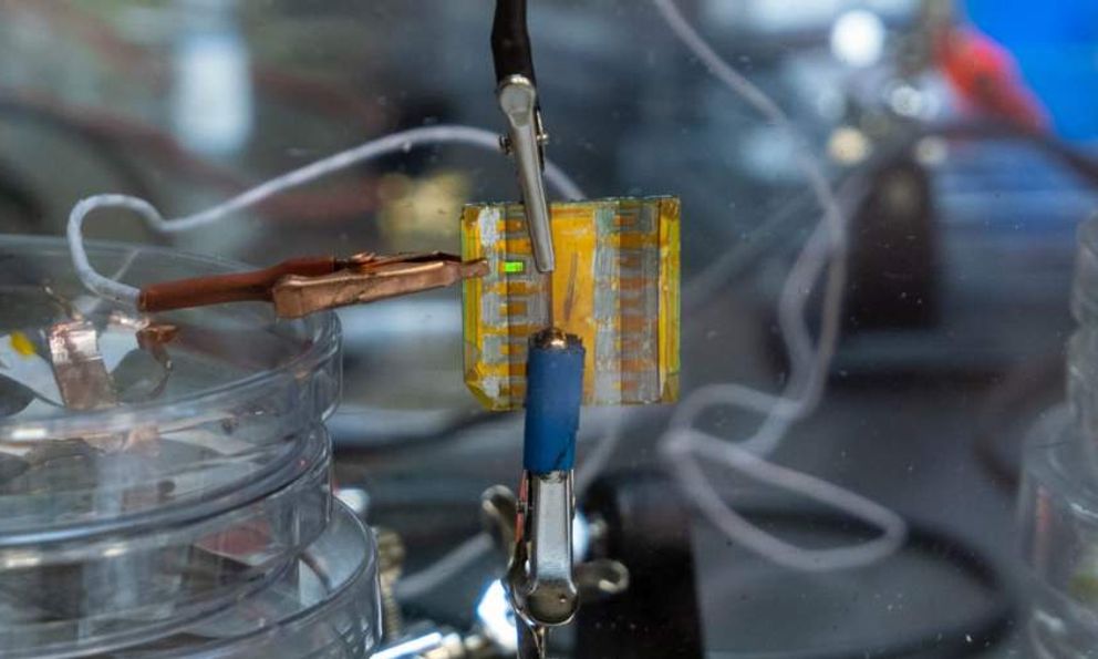 Nga tìm ra công nghệ mới nhanh gấp 100.000 lần so với cách truyền thống: 5 - 10 năm tới sẽ có thay đổi lớn