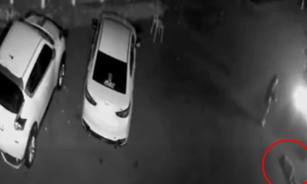 Đưa bạn về khách sạn rồi lái đi, người đàn ông không ngờ cán qua người bạn khiến đối phương tử vong