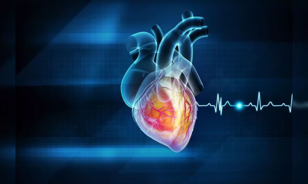 5 thói quen khiến trái tim ‘lâm nguy’, đột quỵ ‘chực chờ’: Nhiều người làm mỗi ngày mà không biết