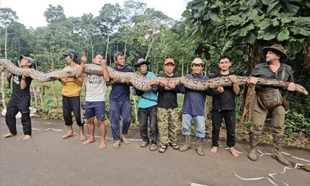 Vô tình bắt được 