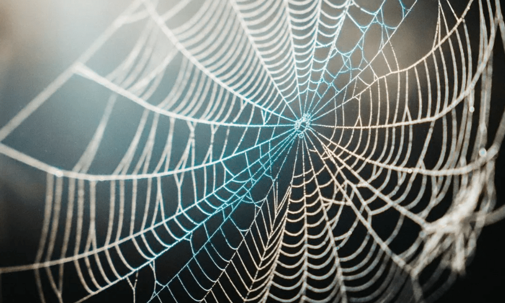 Vừa giải mã thành công bí mật siêu phàm 