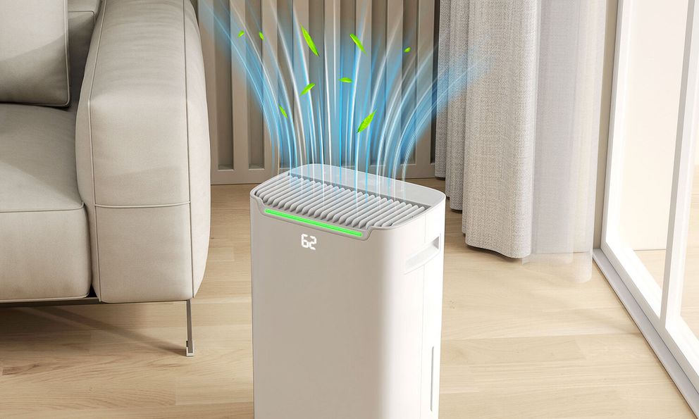 Máy hút ẩm mất bao lâu để làm khô một căn phòng, đâu là mẹo 