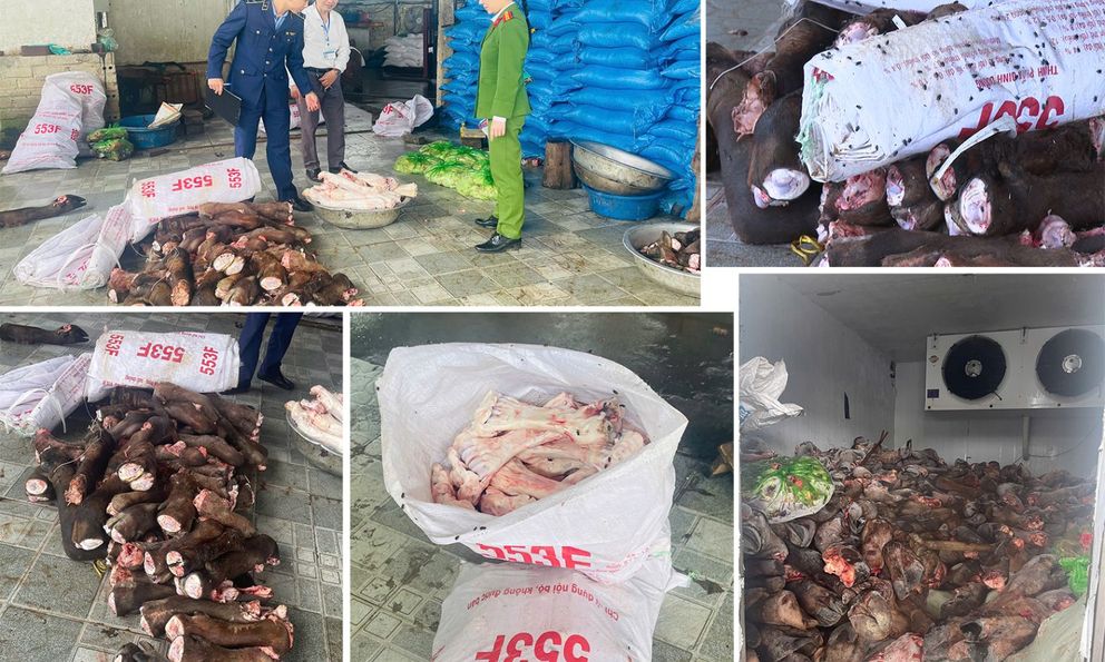 Kiểm tra đột xuất 2 địa điểm, thu giữ 6 tấn tang vật