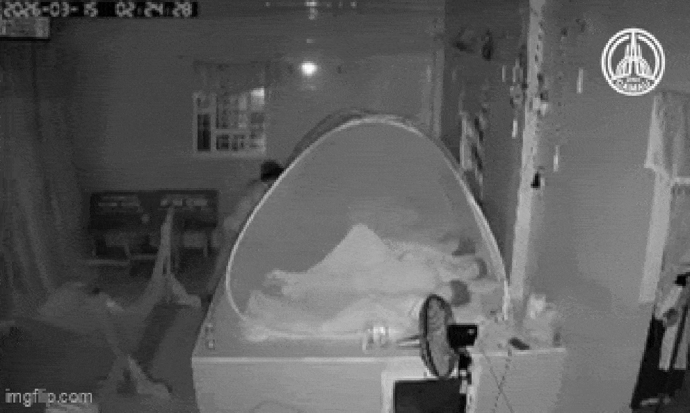 Cận cảnh trộm mò vào phòng trộm thùng tiền mừng cưới: Tìm thấy 208 phong bì cách nhà vài chục mét