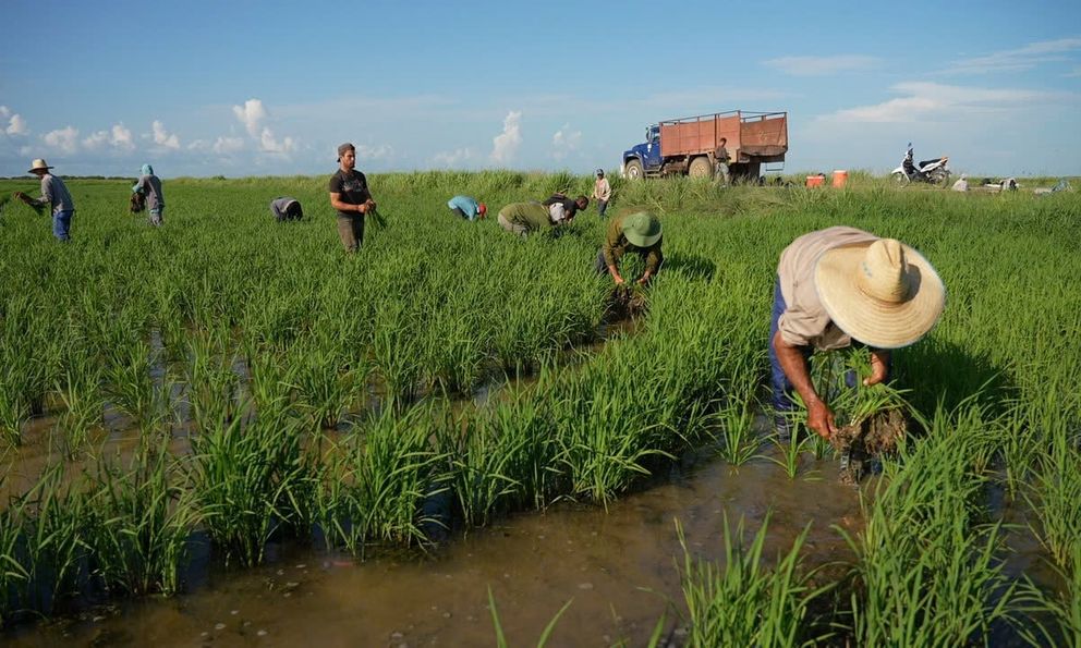 Chưa từng có ở Cuba: Việt Nam được giao đất triển khai dự án nông nghiệp 