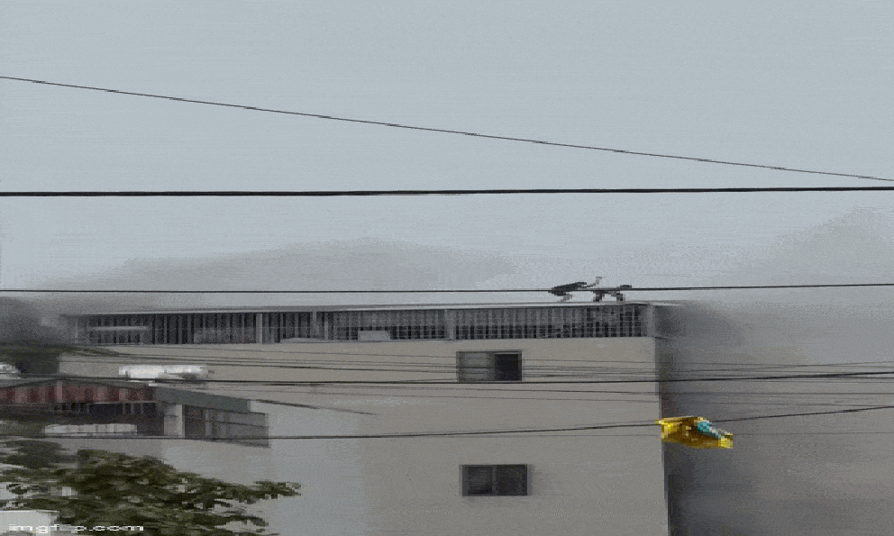 2 người phá mái tôn cứu các nạn nhân từ căn nhà 6 tầng cháy dữ dội ở Hà Nội 