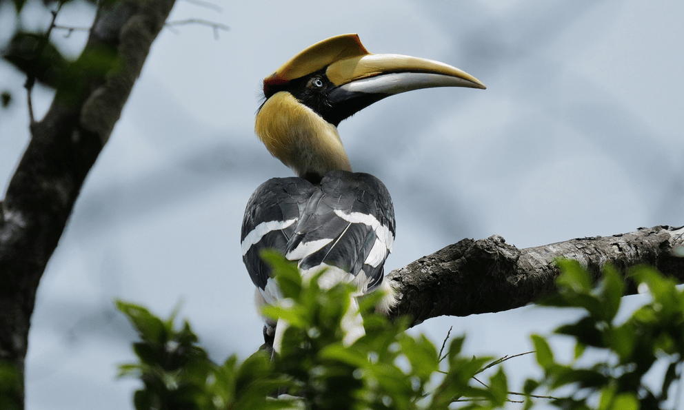 Bất ngờ ghi nhận 