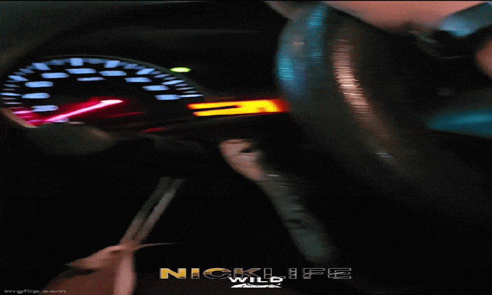 Chuyên gia bắt rắn kể lại giây phút sinh tử khi con rắn hổ mang bất ngờ cắn rách bao tải, bò khắp xe ô tô