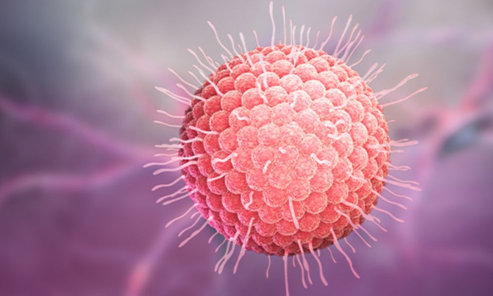 78% người lớn có một số bệnh lý mạn tính lo ngại zona gây gián đoạn cuộc sống