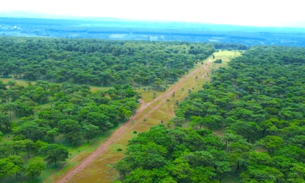 Nơi được FLC của ông Trịnh Văn Quyết chọn để chuẩn bị làm sân golf 1000 tỷ đồng: Có gì đặc biệt?