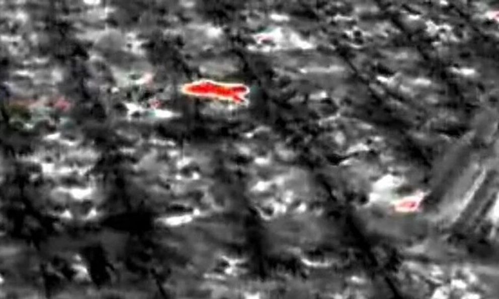 Sinh vật bí ẩn phá nát vườn chuối suốt 2 tuần: 60 người truy tìm khi camera nhiệt ghi lại bóng dáng lạ