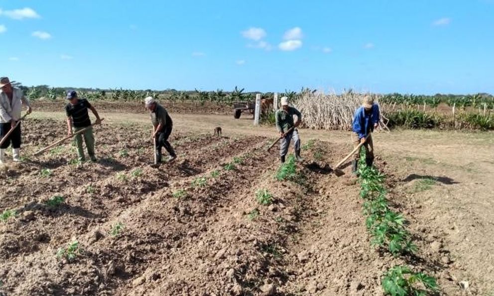 Thiếu từ xăng đến phân bón, Cuba 