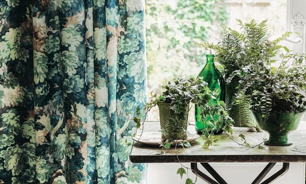 Điều cần làm với cây trong nhà ngay bây giờ