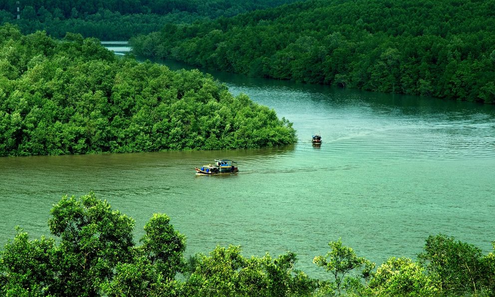  Nghiên cứu xác định 