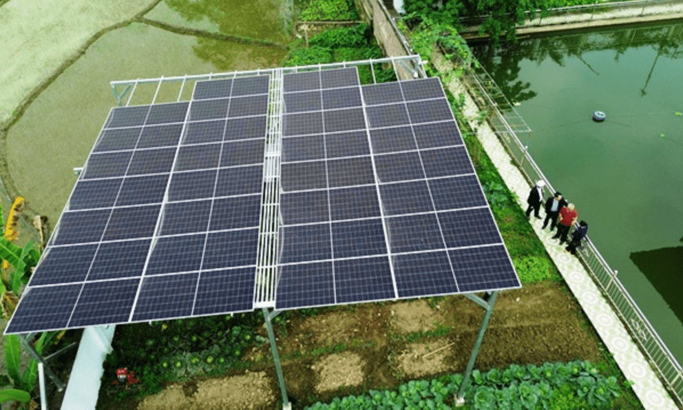 Bỏ tiền lắp thứ này trong vườn nhà, người đàn ông Lào Cai giảm 90% hóa đơn điện